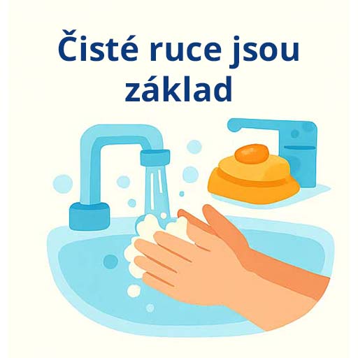 Čisté ruce