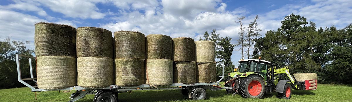 Sklízení lučního sena Farma Harvan